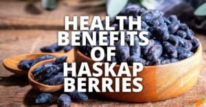 Potential Health Benefits Of Haskap Berries
