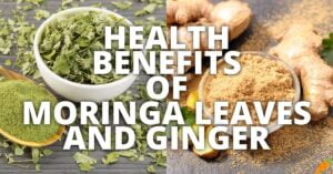 Potential Health Benefits Of Moringa Leaves And Ginger