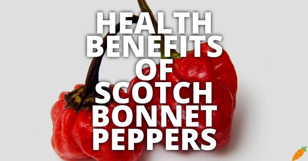 Potential Health Benefits Scotch Bonnet Peppers