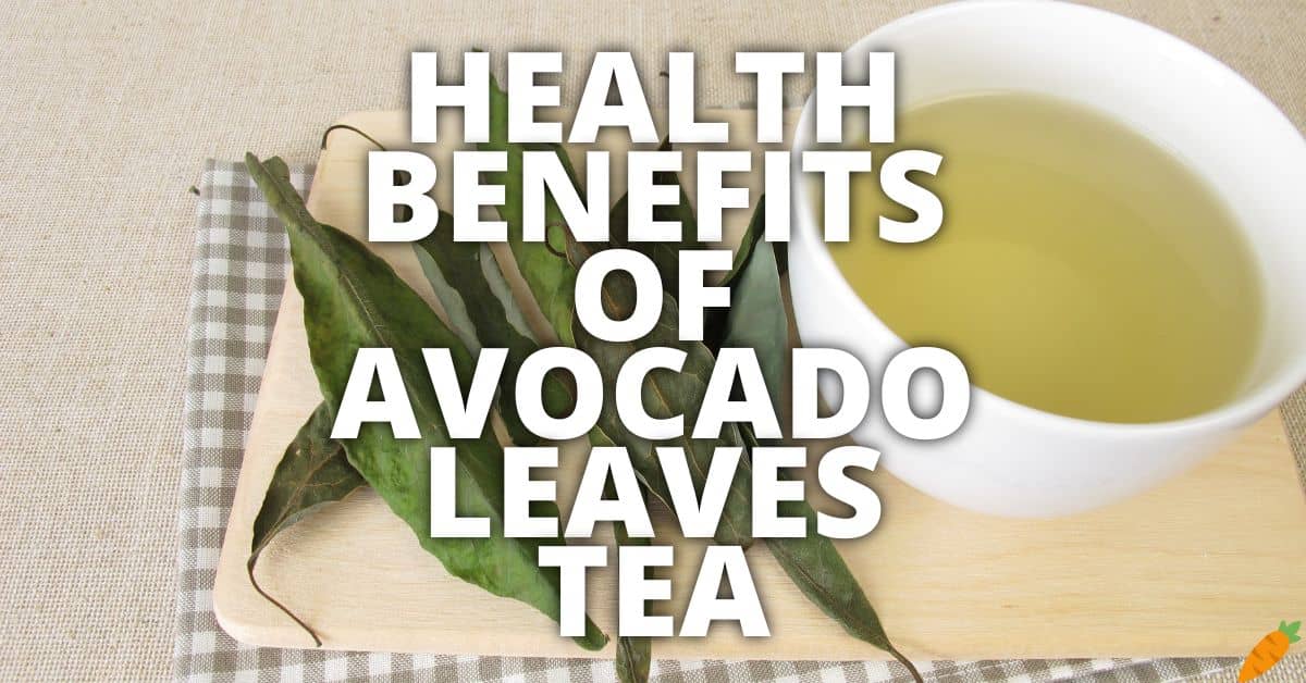 Potential Health Benefits Of Avocado Leaves Tea