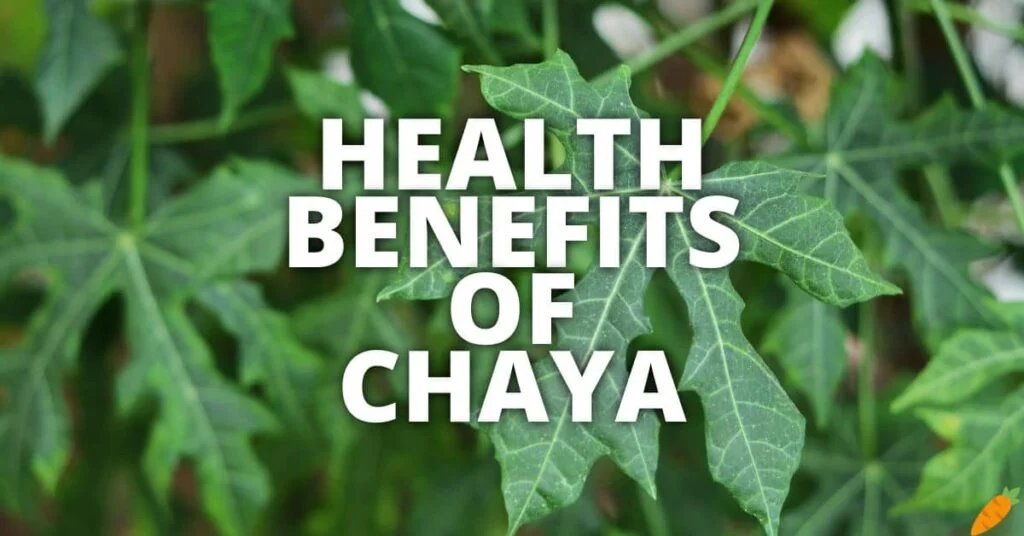 Potential Health Benefits Of Chaya