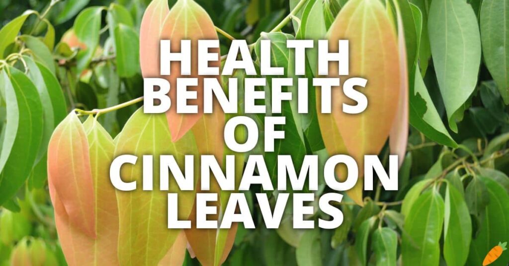 Potential Health Benefits Of Cinnamon Leaves