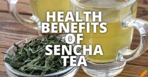 Potential Health Benefits Of Sencha Tea