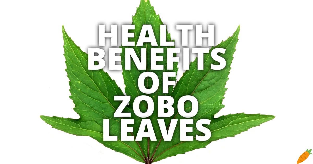 Potential Health Benefits Of Zobo Leaves