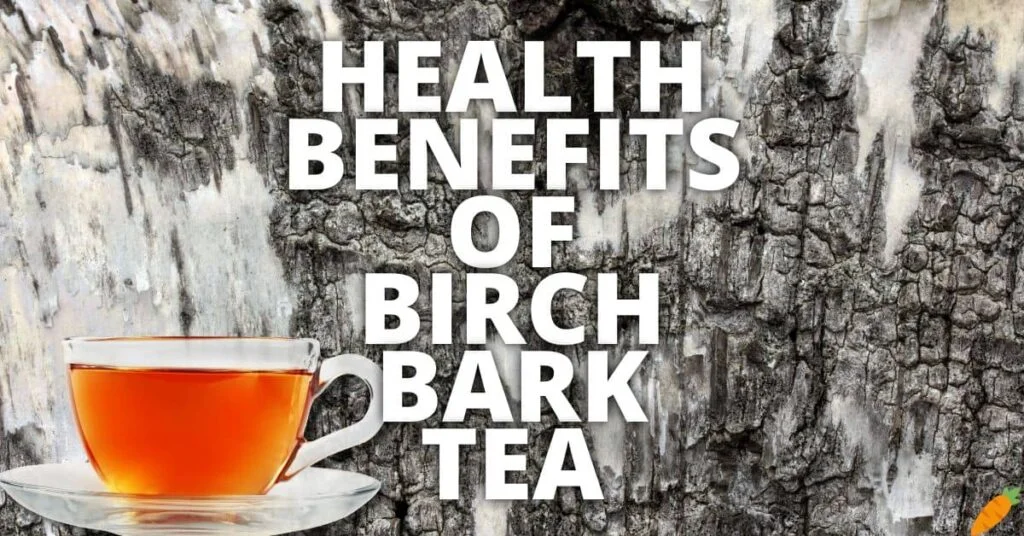 Potential Health Benefits Of Birch Bark Tea
