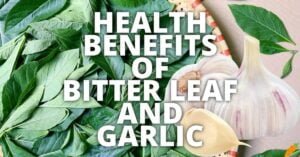 Potential Health Benefits Of Bitter Leaf And Garlic
