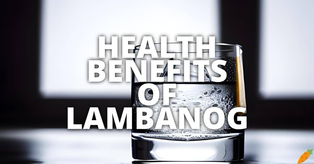 Potential Health Benefits Of Lambanog