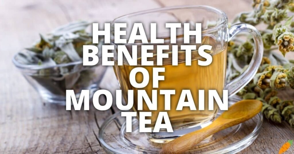 Potential Health Benefits Of Mountain Tea