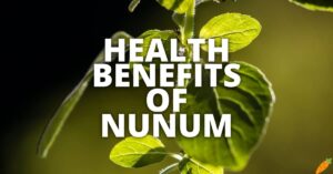 Potential Health Benefits Of Nunum