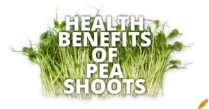 Potential Health Benefits Of Pea Shoots