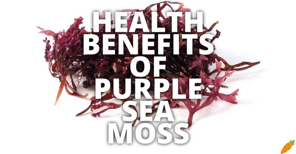 Potential Health Benefits Of Purple Sea Moss