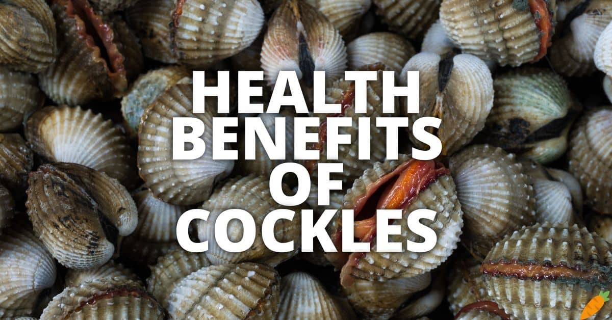 Potential Health Benefits Of Cockles