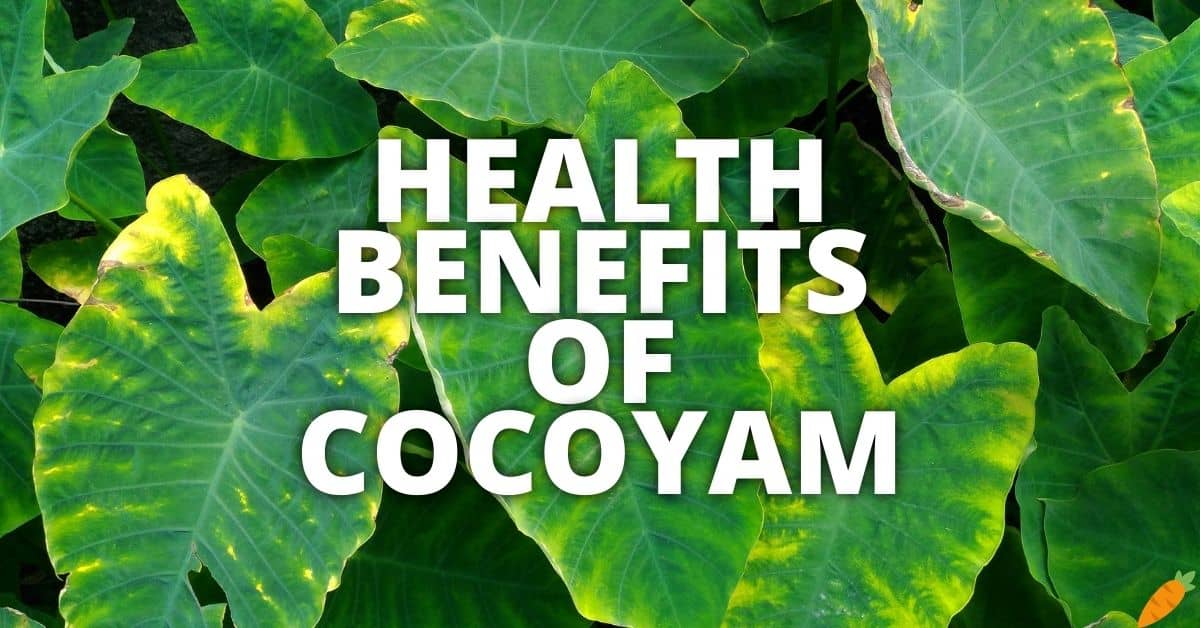 Potential Health Benefits Of Cocoyam