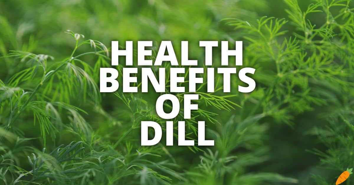 18 Potential Health Benefits Of Dill
