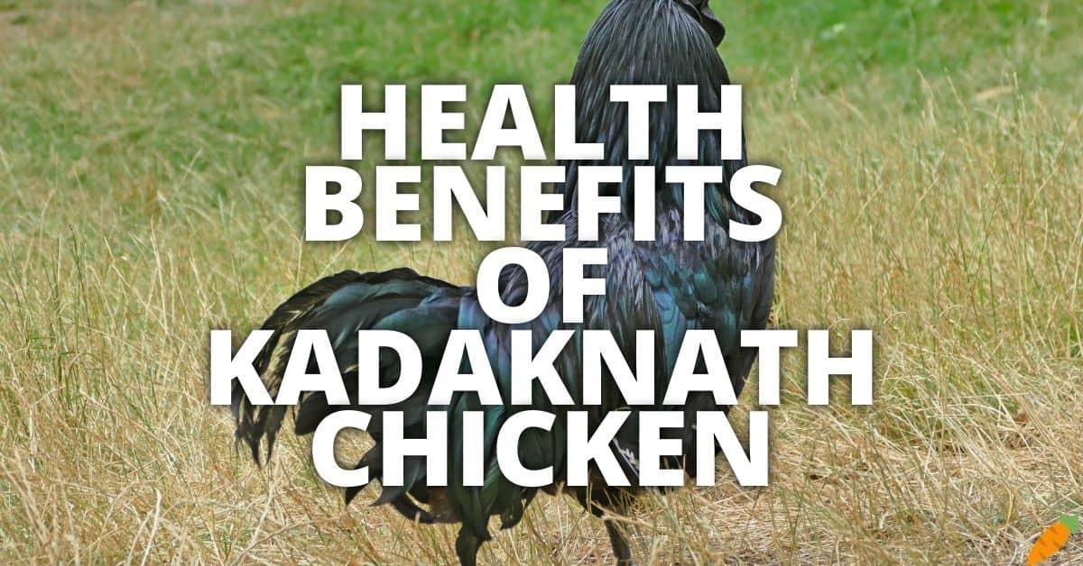 Potential Health Benefits Of Kadaknath Chicken
