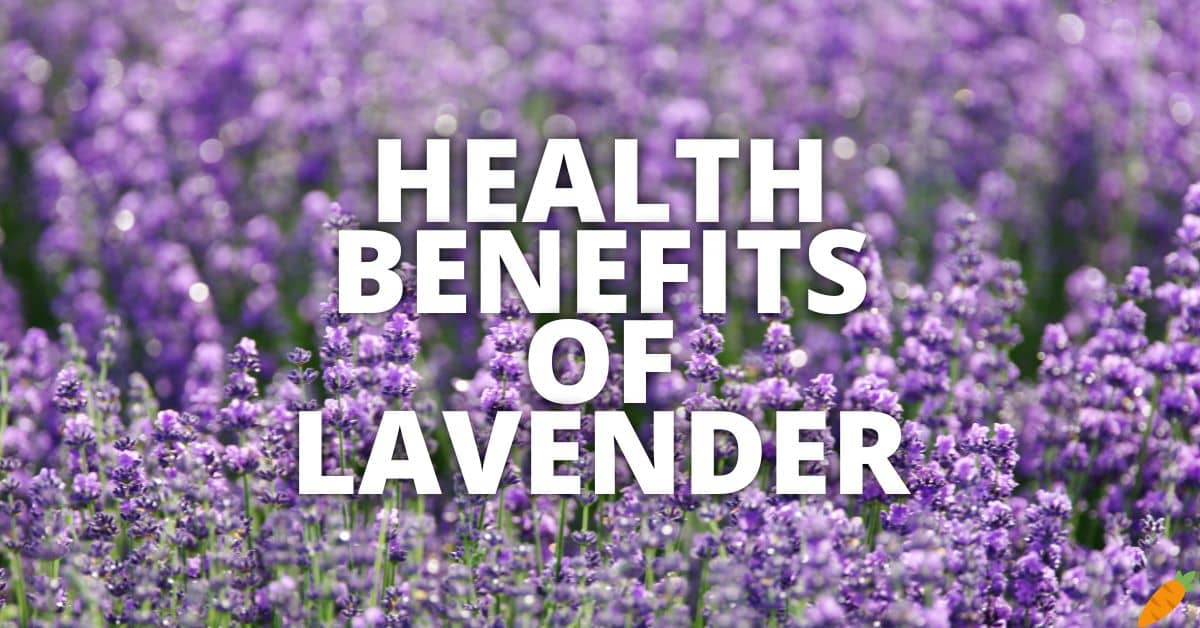 17 Potential Health Benefits Of Lavender