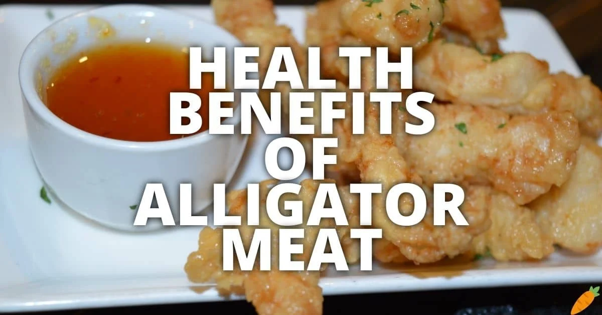 Potential Health Benefits Of Alligator Meat