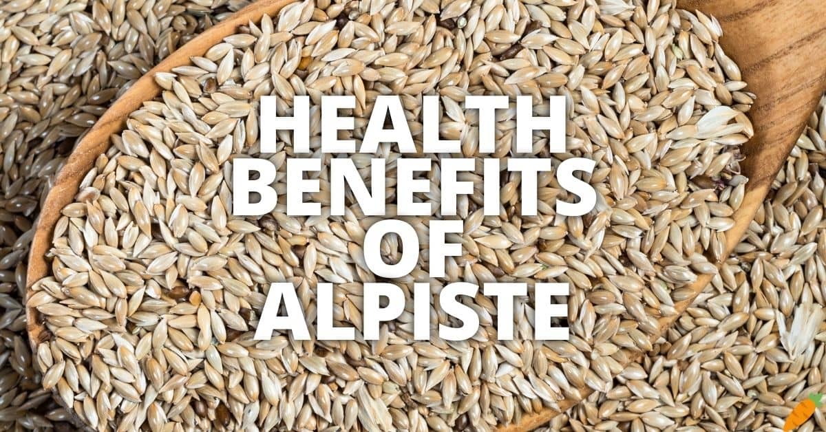 Potential Health Benefits Of Alpiste