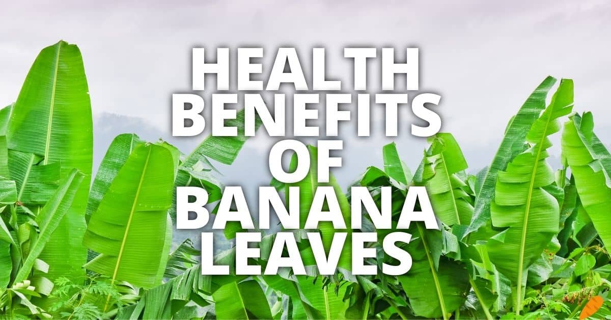11 Potential Health Benefits Of Banana Leaves