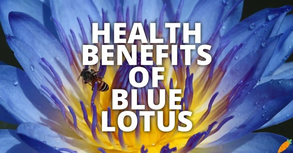 Promoting Digestive Health: Blue Lotus for Gut Comfort