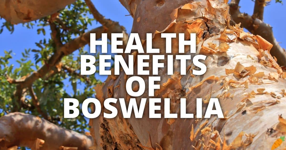 Potential Health Benefits Of Boswellia