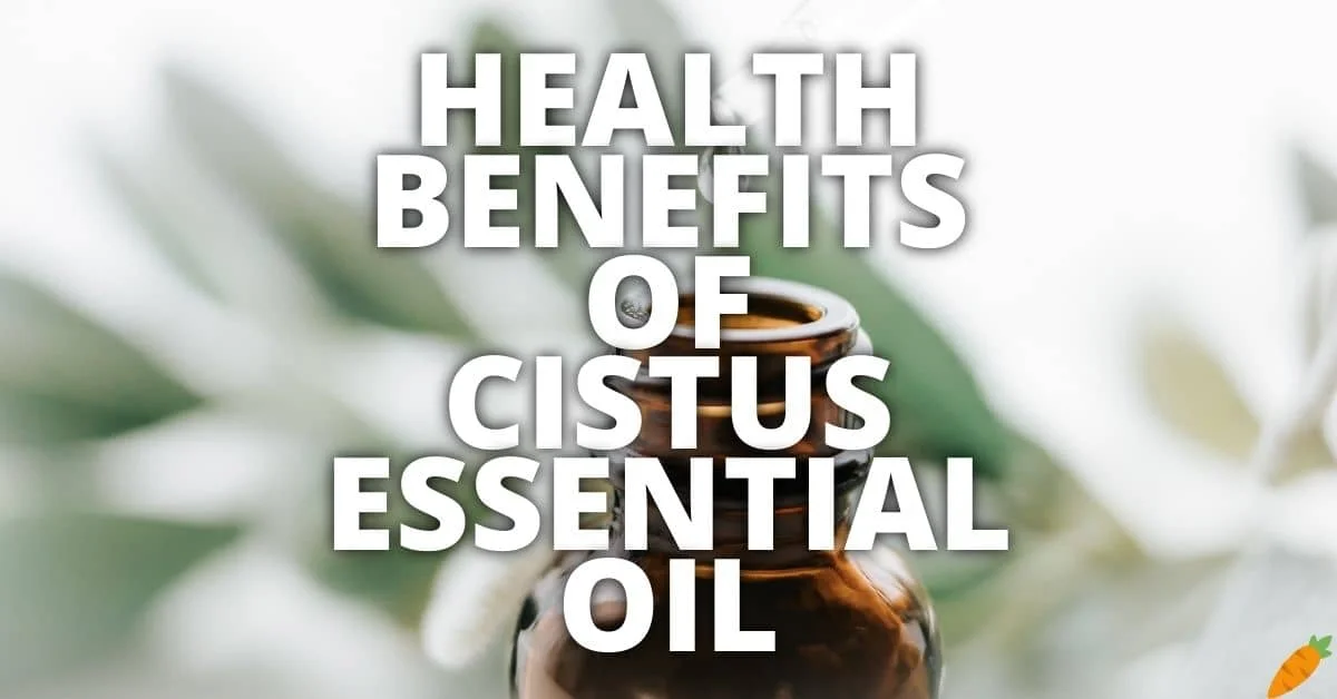 Potential Health Benefits Of Cistus Essential Oil