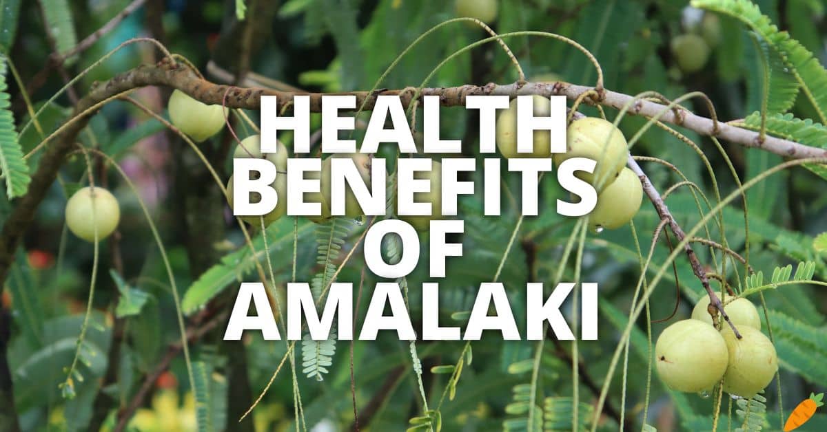 19 Potential Health Benefits Of Amalaki