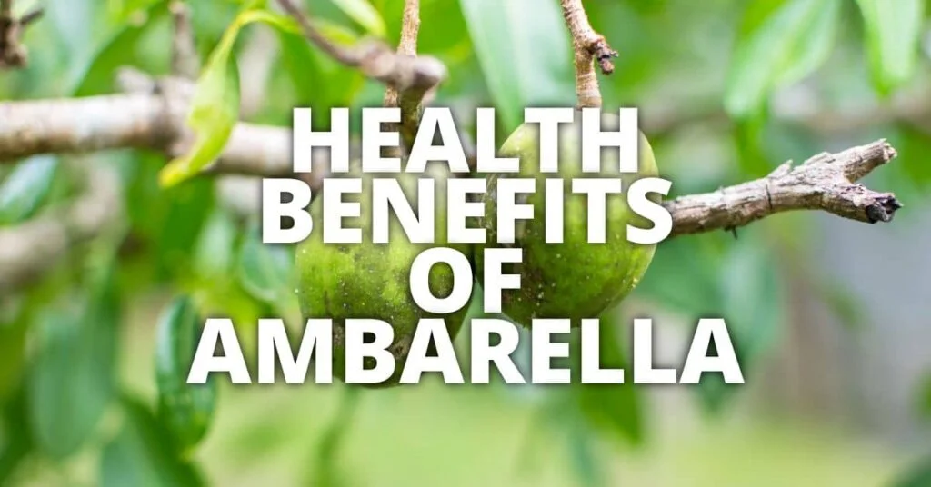Ambarella's Possible Health Benefits
