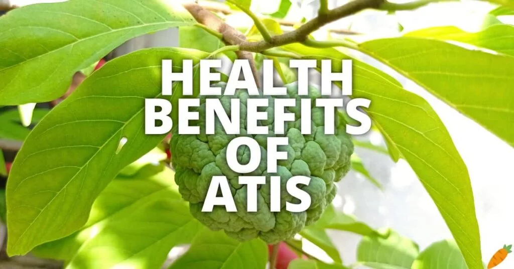 Possible Health Advantages of Atis