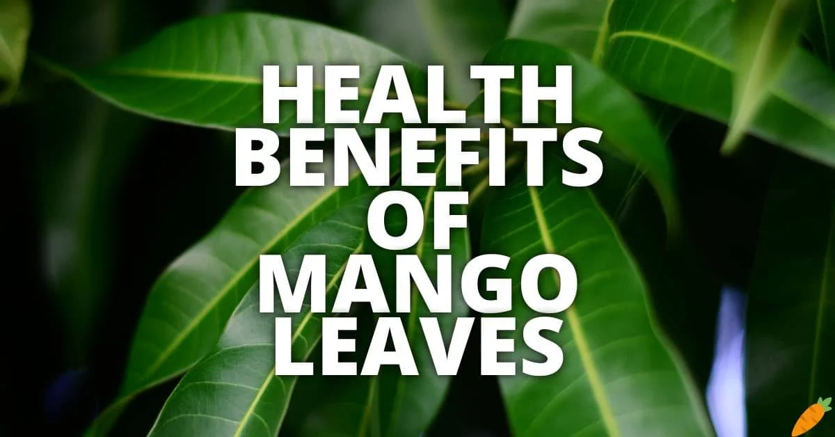 Potential Health Benefits Mango Leaves