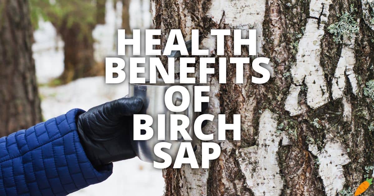 Potential Health Benefits Of Birch Sap