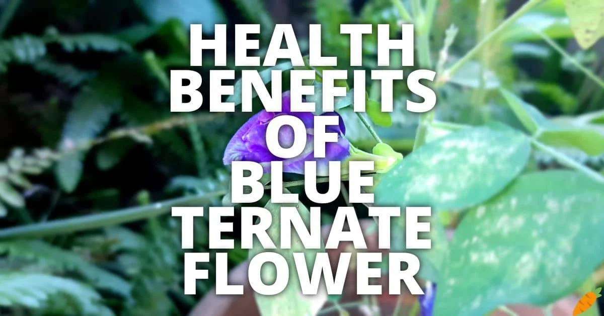 Potential Health Benefits Of Blue Ternate Flower