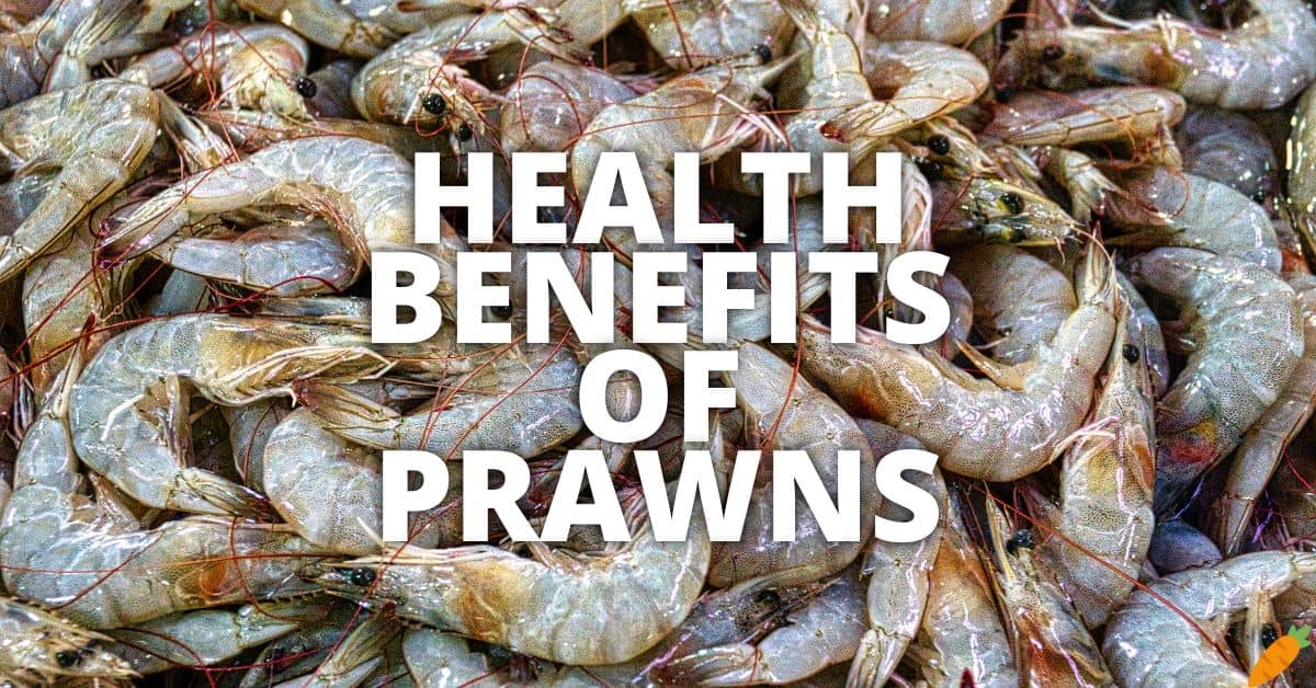 Potential Health Benefits Prawns