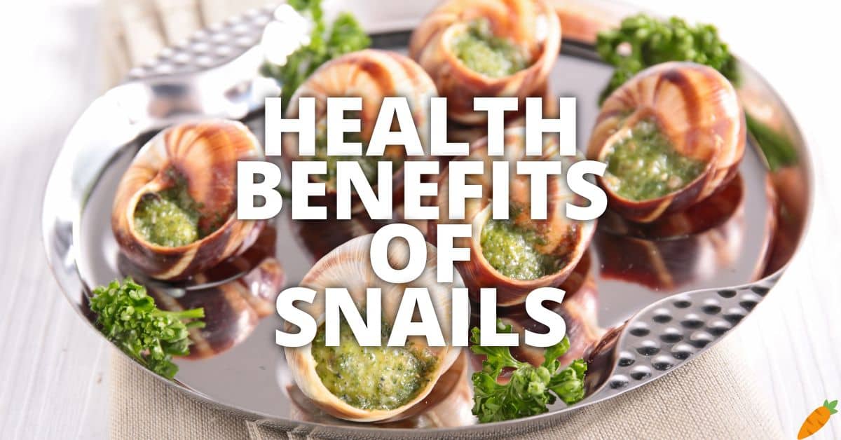 11 Potential Health Benefits Of Snails