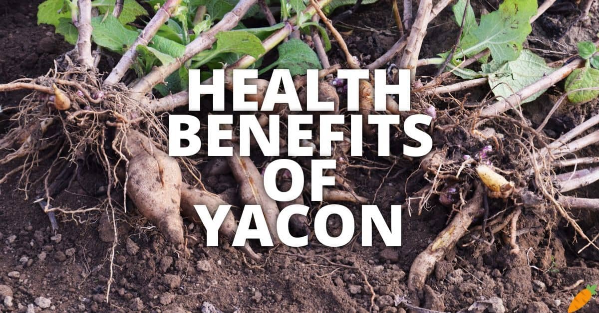 16 Potential Health Benefits Of Yacon