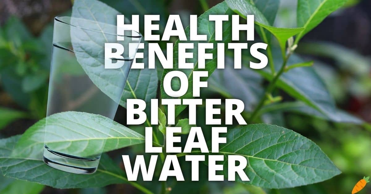10 Potential Health Benefits Of Bitter Leaf Water
