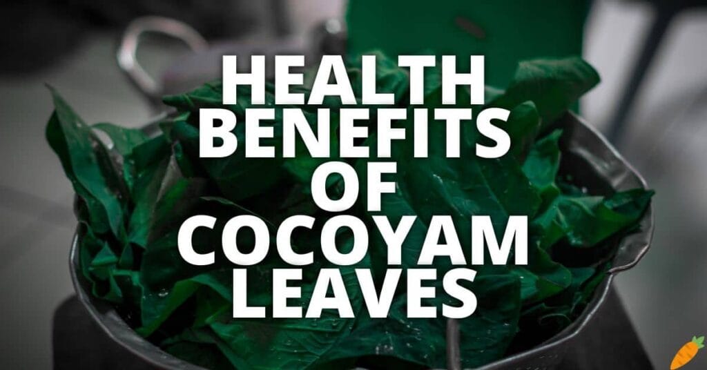 10 Potential Health Benefits Of Cocoyam Leaves