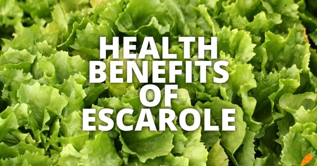 Possible Health Advantages of Escarole