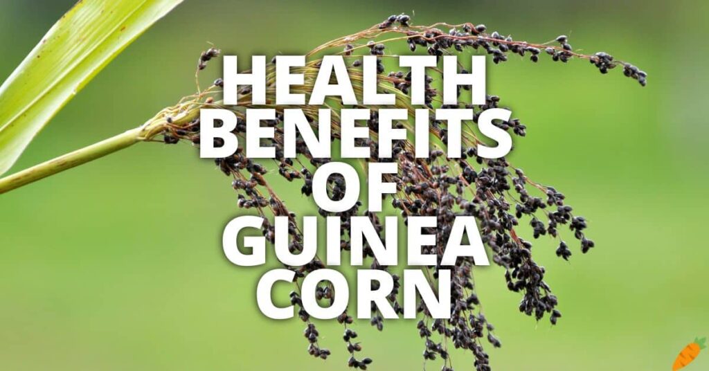 11 Potential Health Benefits Of Guinea Corn
