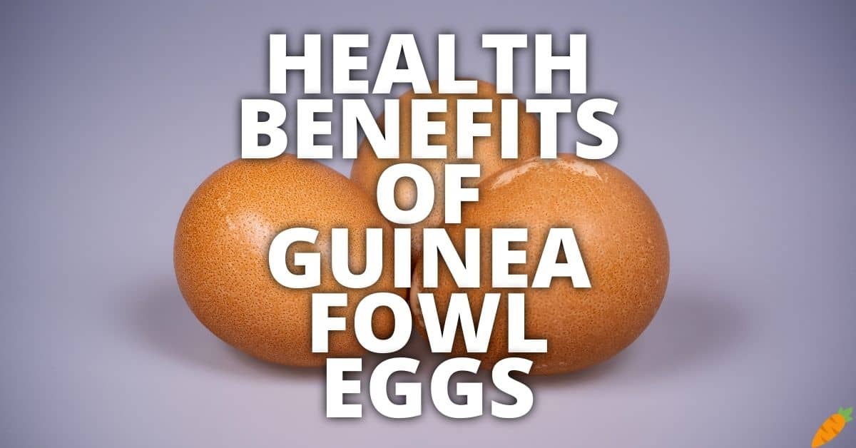 Potential Health Benefits Guinea Fowl Eggs