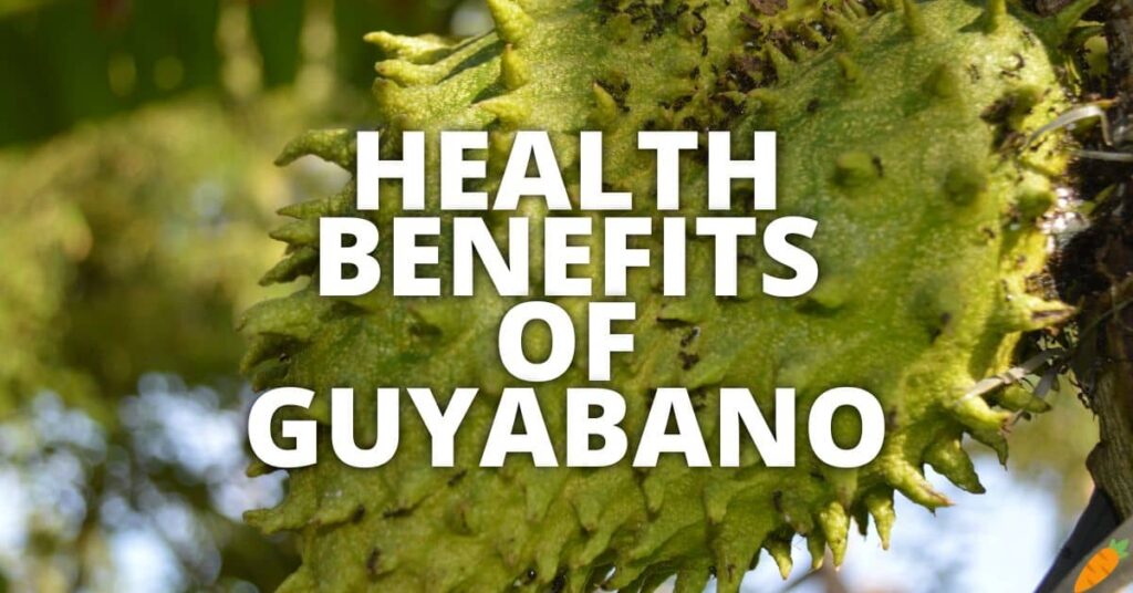 10 Potential Health Benefits Of Guyabano