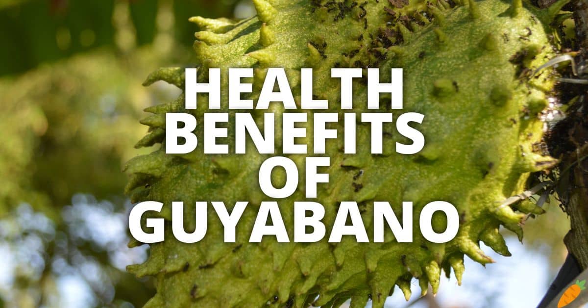 Potential Health Benefits Guyabano