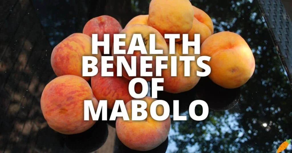 Potential Health Benefits Mabolo