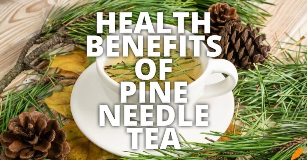 10 Potential Health Benefits Of Pine Needle Tea