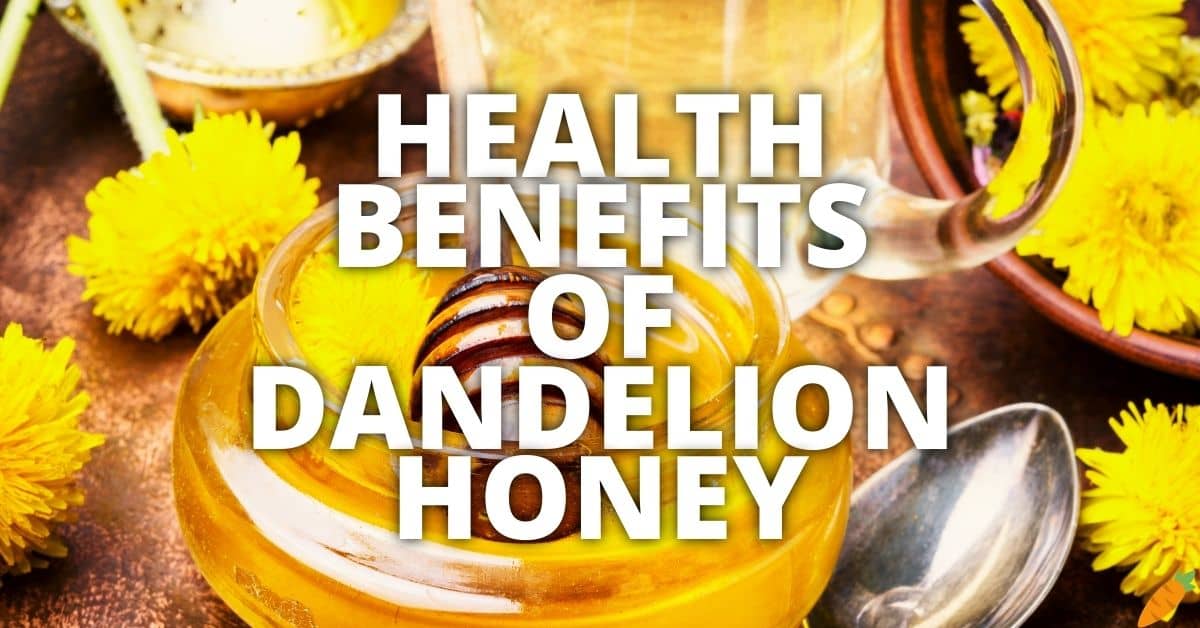 11 Potential Health Benefits Of Dandelion Honey