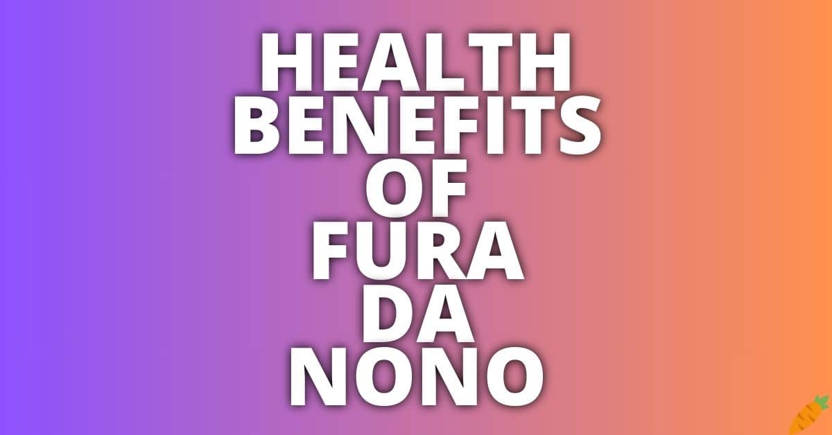 Potential Health Benefits Fura Da Nono