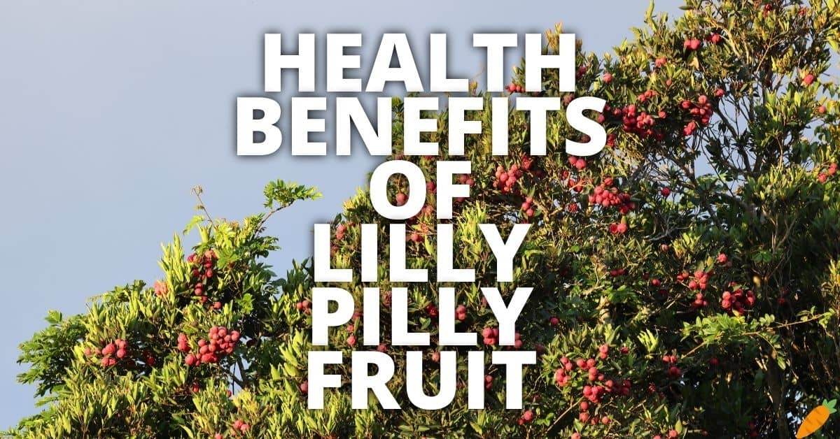 Potential Health Benefits Lilly Pilly Fruit