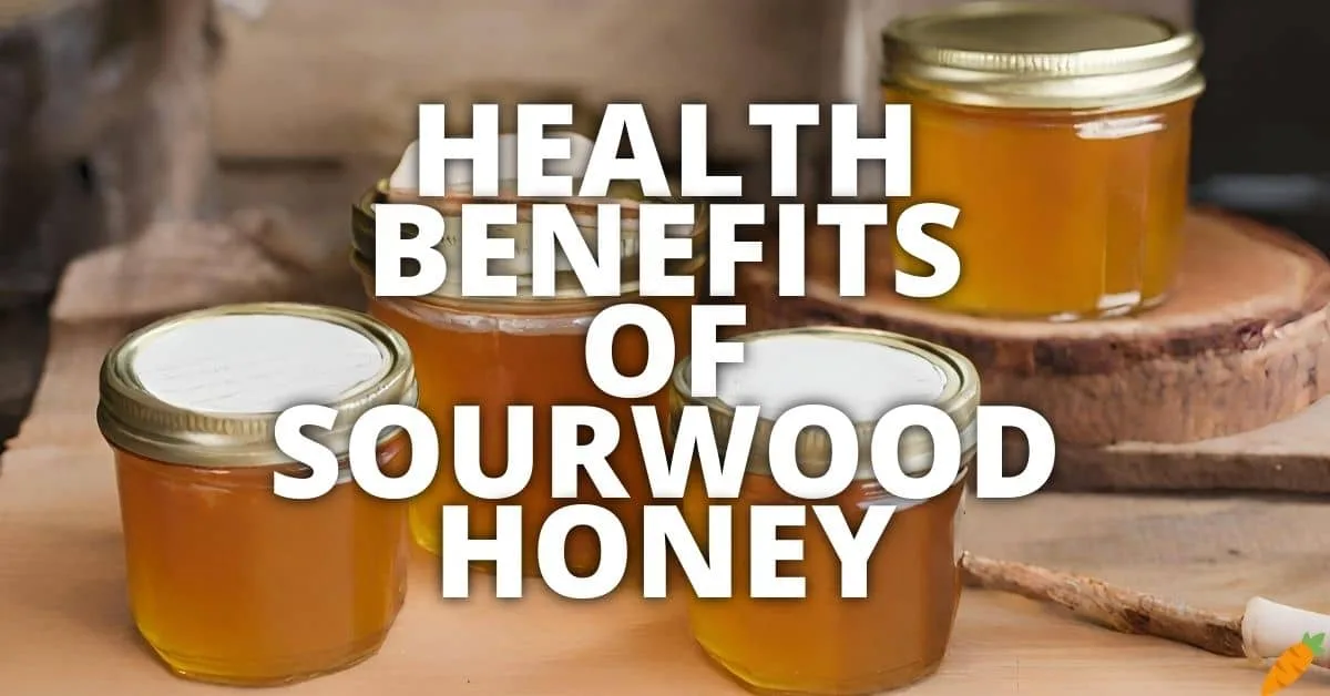 Potential Health Benefits Sourwood Honey