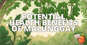 Health Benefits Malunggay