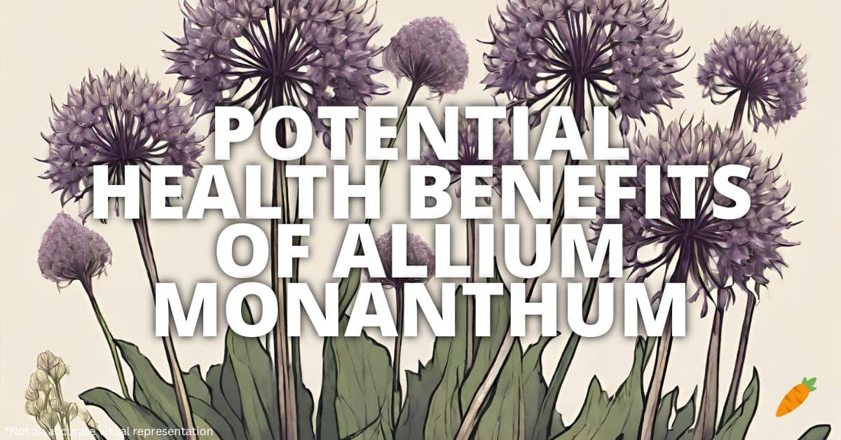 Health Benefits Allium Monanthum